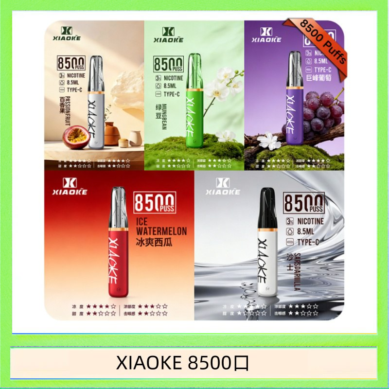 梟客XIAOKE一次性電子菸拋棄式8500口
